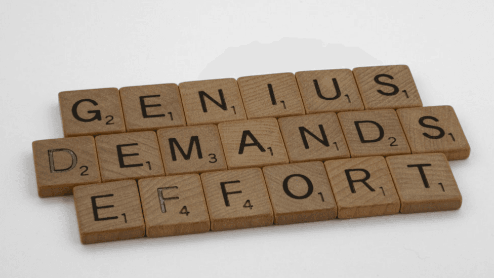 Elite Brand Genius Playbook Experience