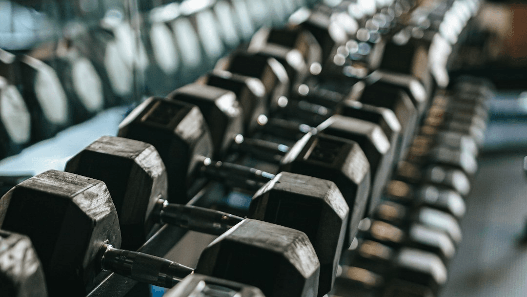 Gym Workout + Fat Loss Bundle