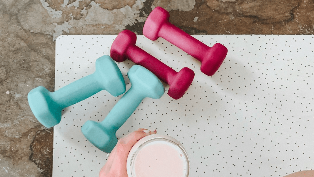 Home Workout + Fat Loss Bundle