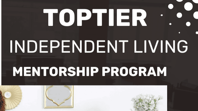 VIP Mentorship