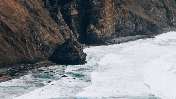 Welcome Home: 21-Day Practice for Exiting Survival