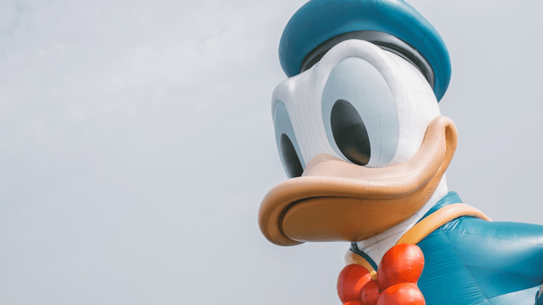 Shanghai Disneyland Consultation