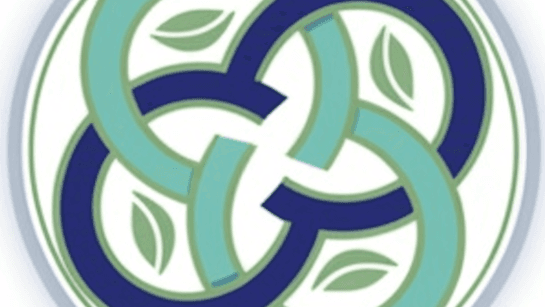 Coherent Life x4 transformational Pro course