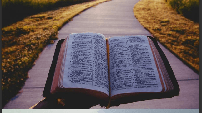 Bible Basics: A Starter Kit for New Believers