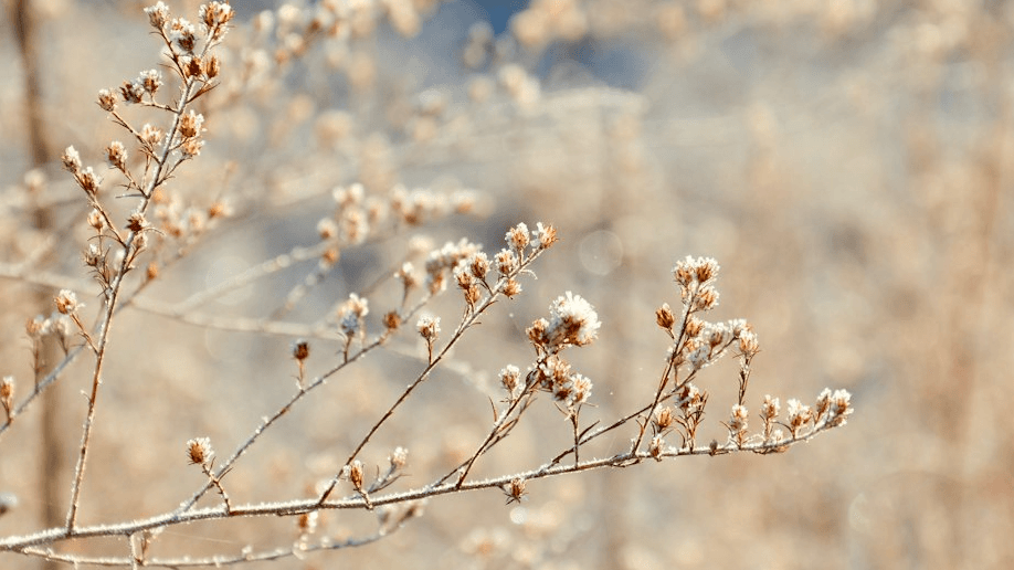 When Sick Season Hits, Know What to do Next