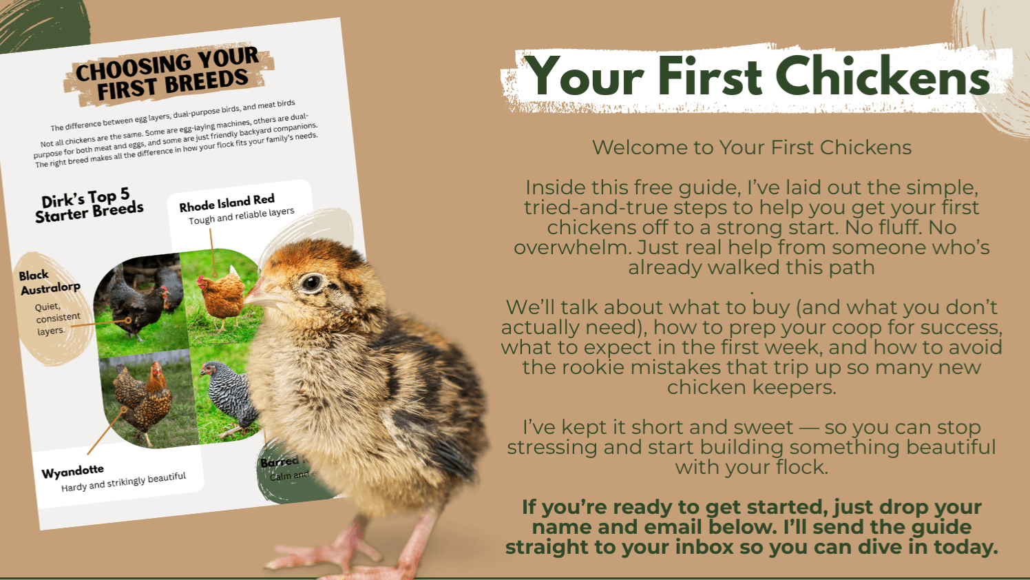 Your First Chickens