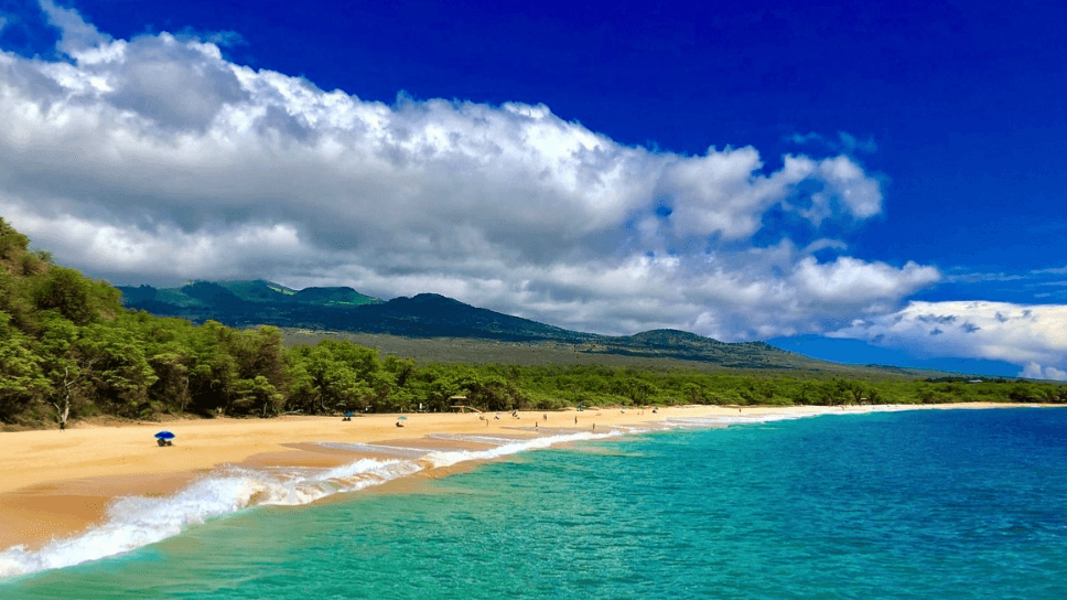 The BEST of Maui Vacation Guide