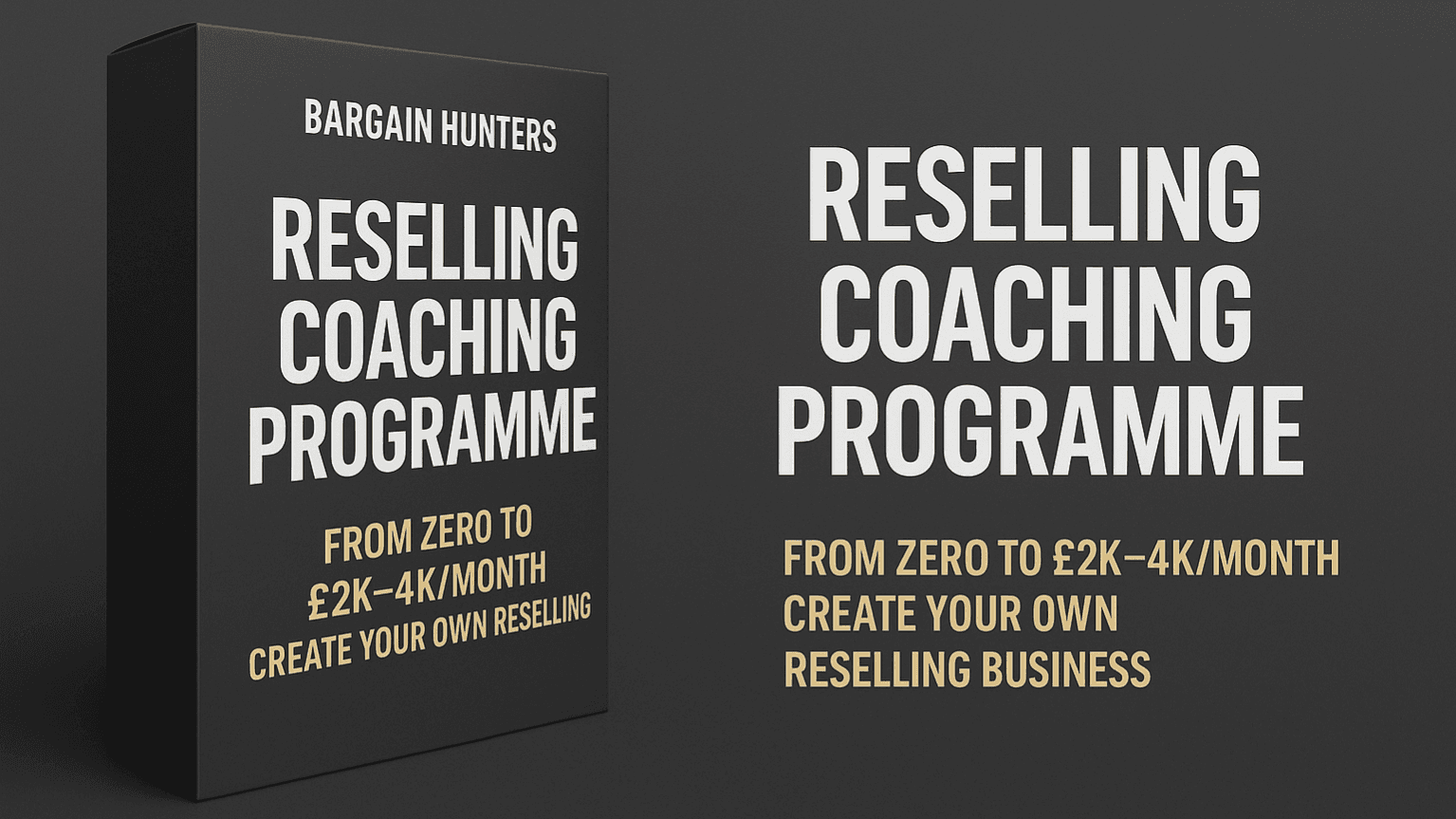 Reselling Coaching Program 1-1