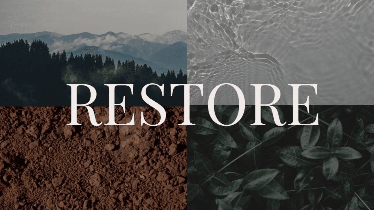 RESTORE