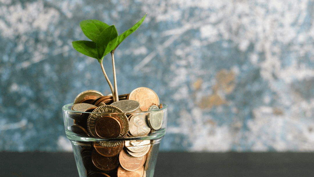 The Soft Income Blueprint