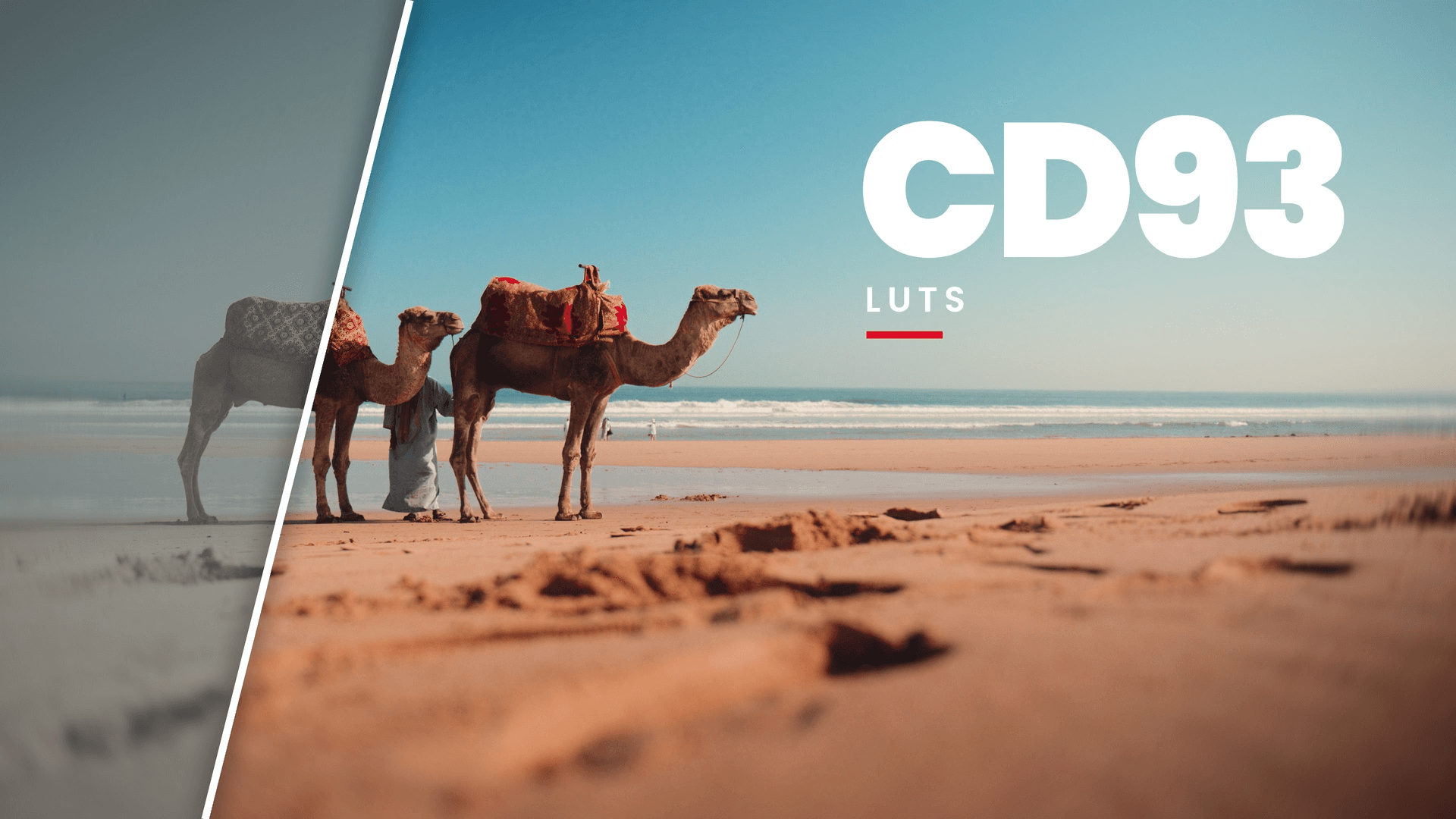 CD93 LUTs