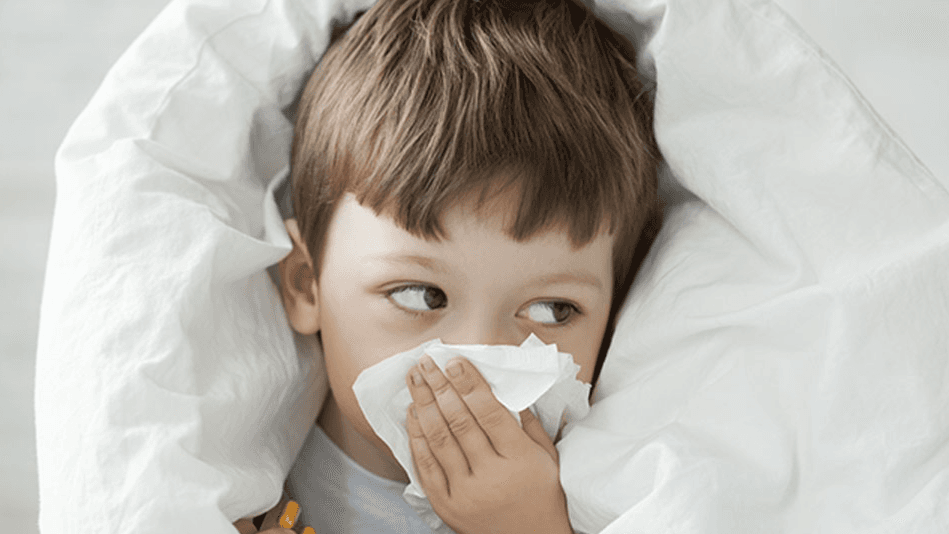 Get My "Cold & Flu Survival Guide" Now!