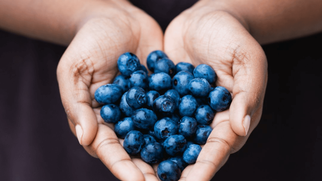 The Vitality Reset (4 Month Root Cause program)