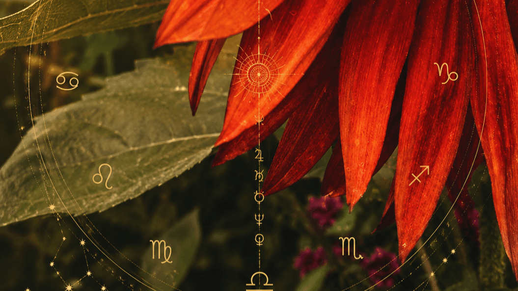 1:1 90min EMBODIED ASTROLOGY