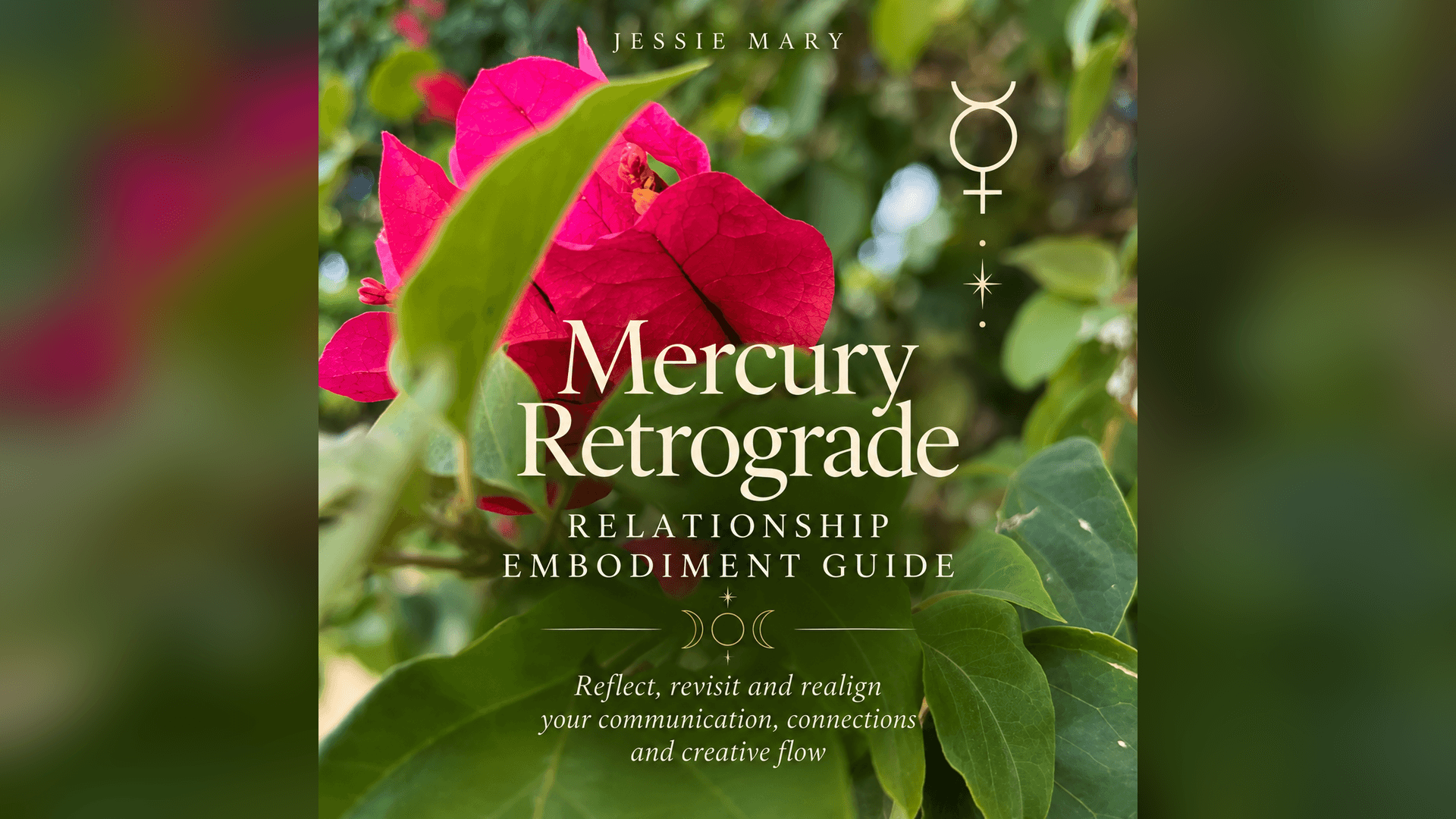 MERCURY RX RELATIONSHIP GUIDE