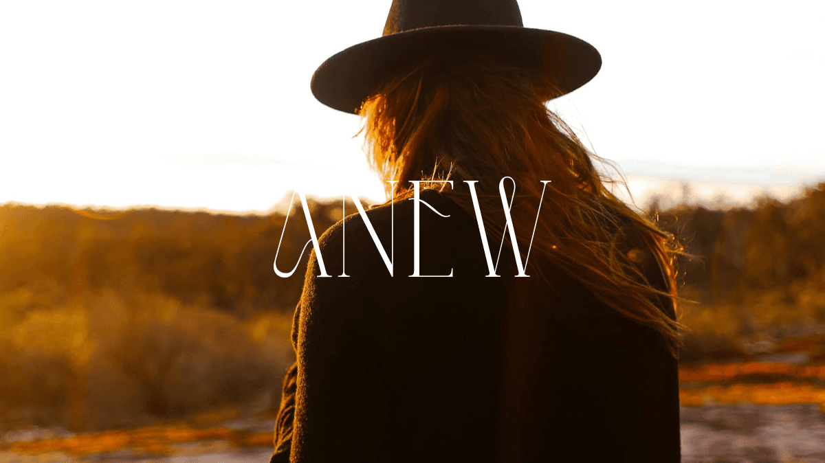 Section Six | Anew