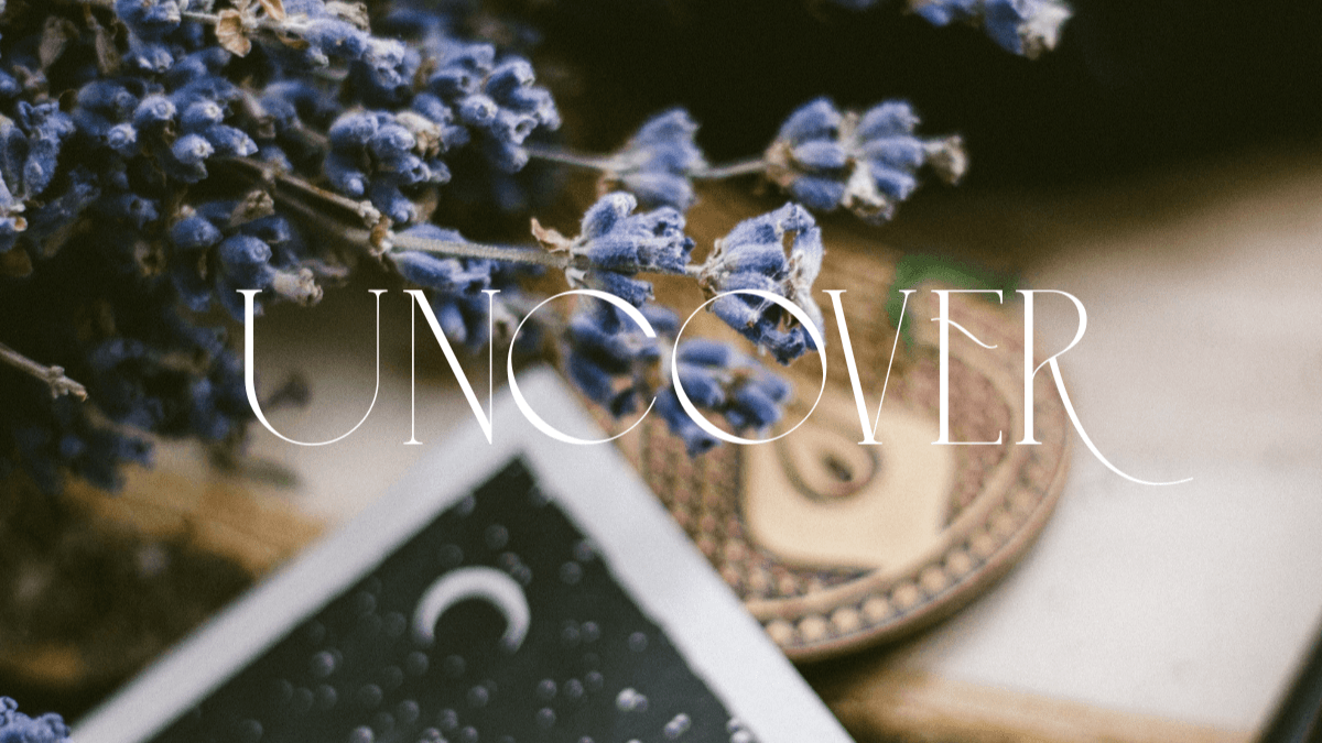 Section Two | Uncover