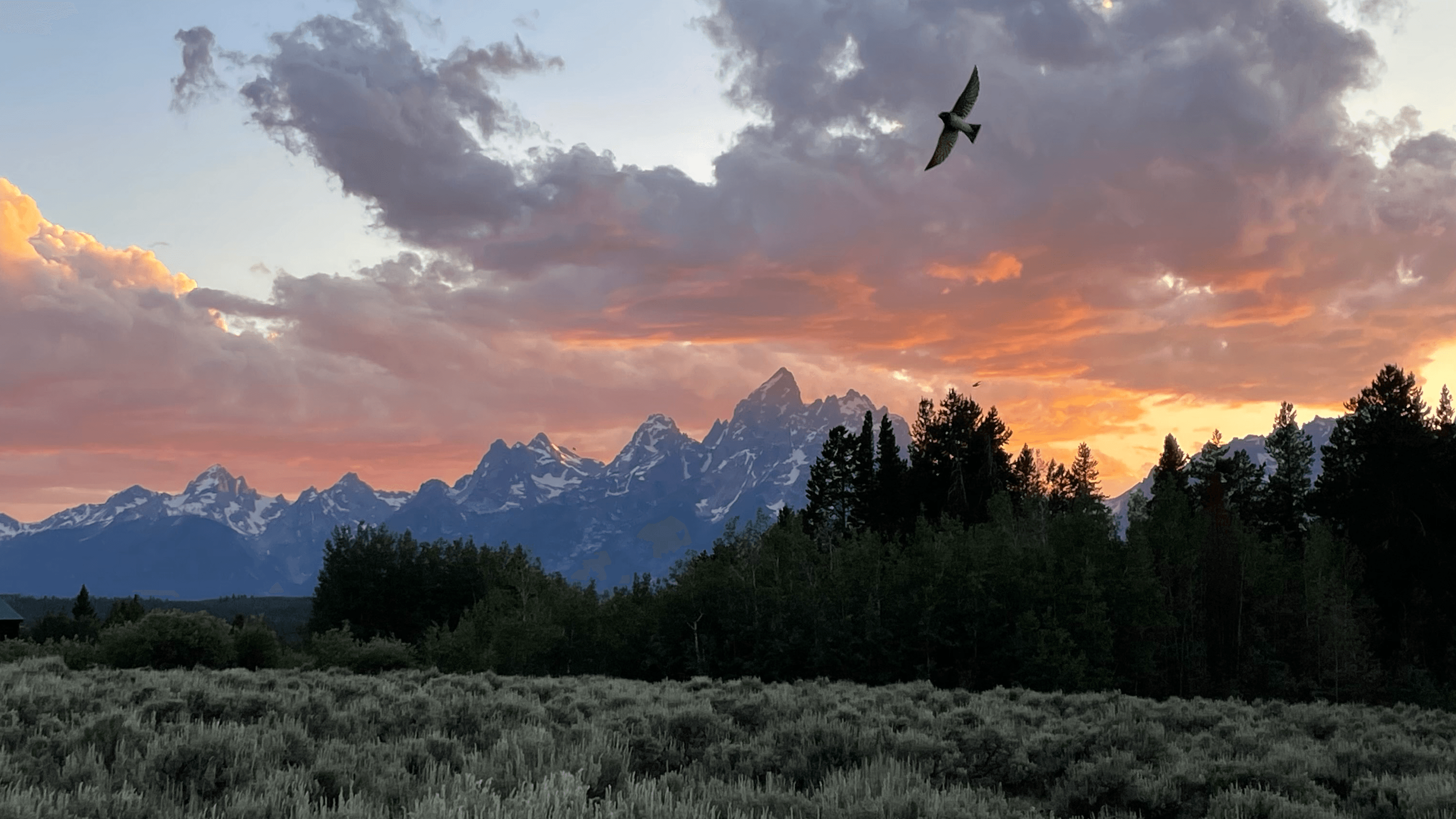 Grand Teton National Park: Like A Local