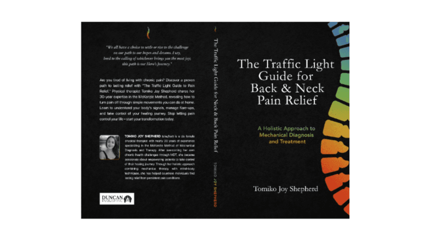 The Traffic Light Guide