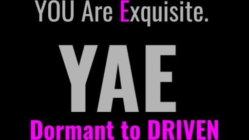 YAE Dormant to DRIVEN