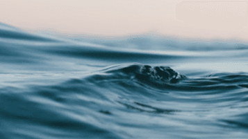 The Ocean of Money