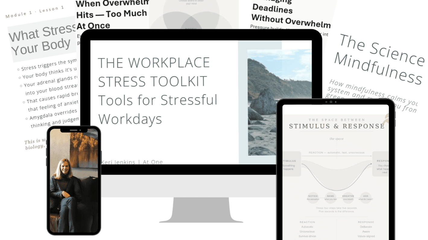 The Workplace Stress Toolkit