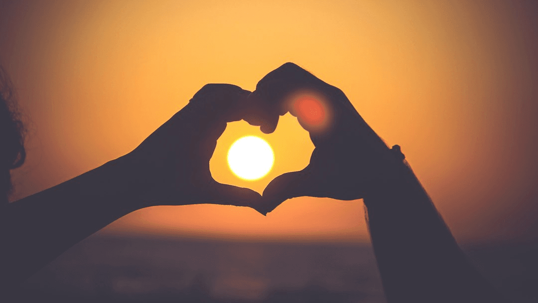 Wild Within: Survivorship