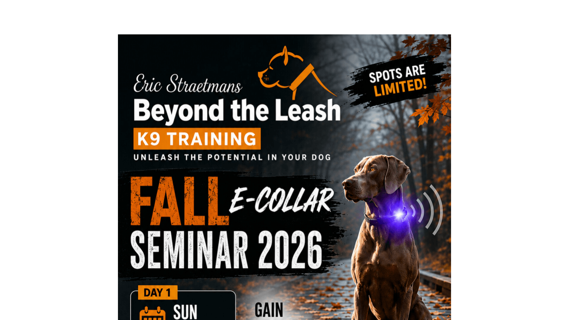 FALL E COLLAR WEBINAR