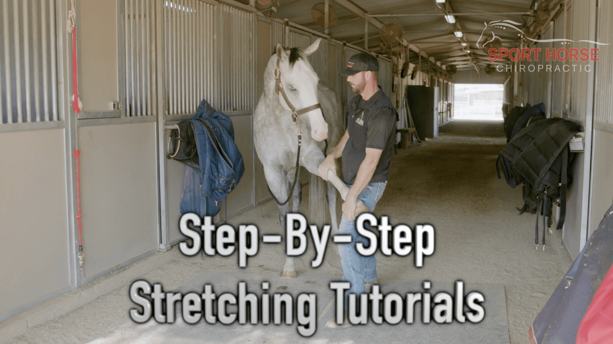Equine Stretching Masterclass