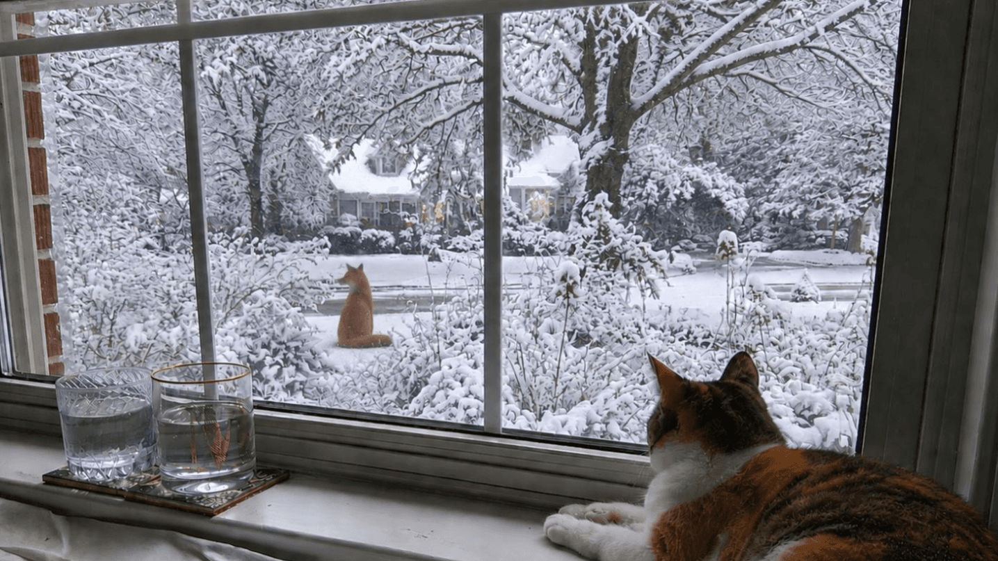Where's Fred? — A Picture Book (Digital Edition)