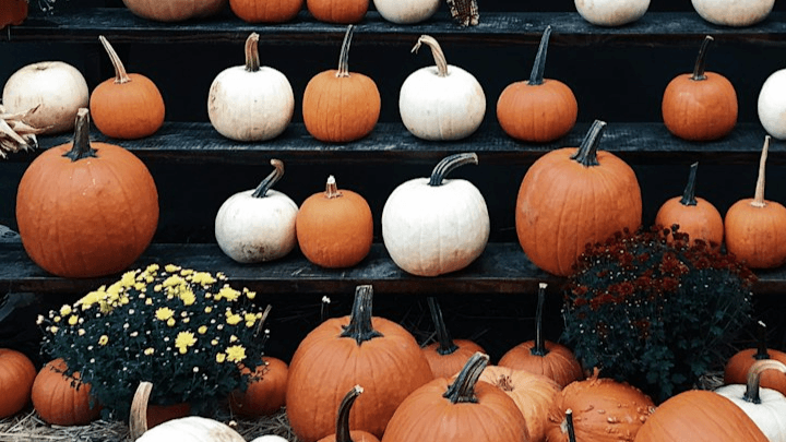 Wholesome Halloween Curriculum