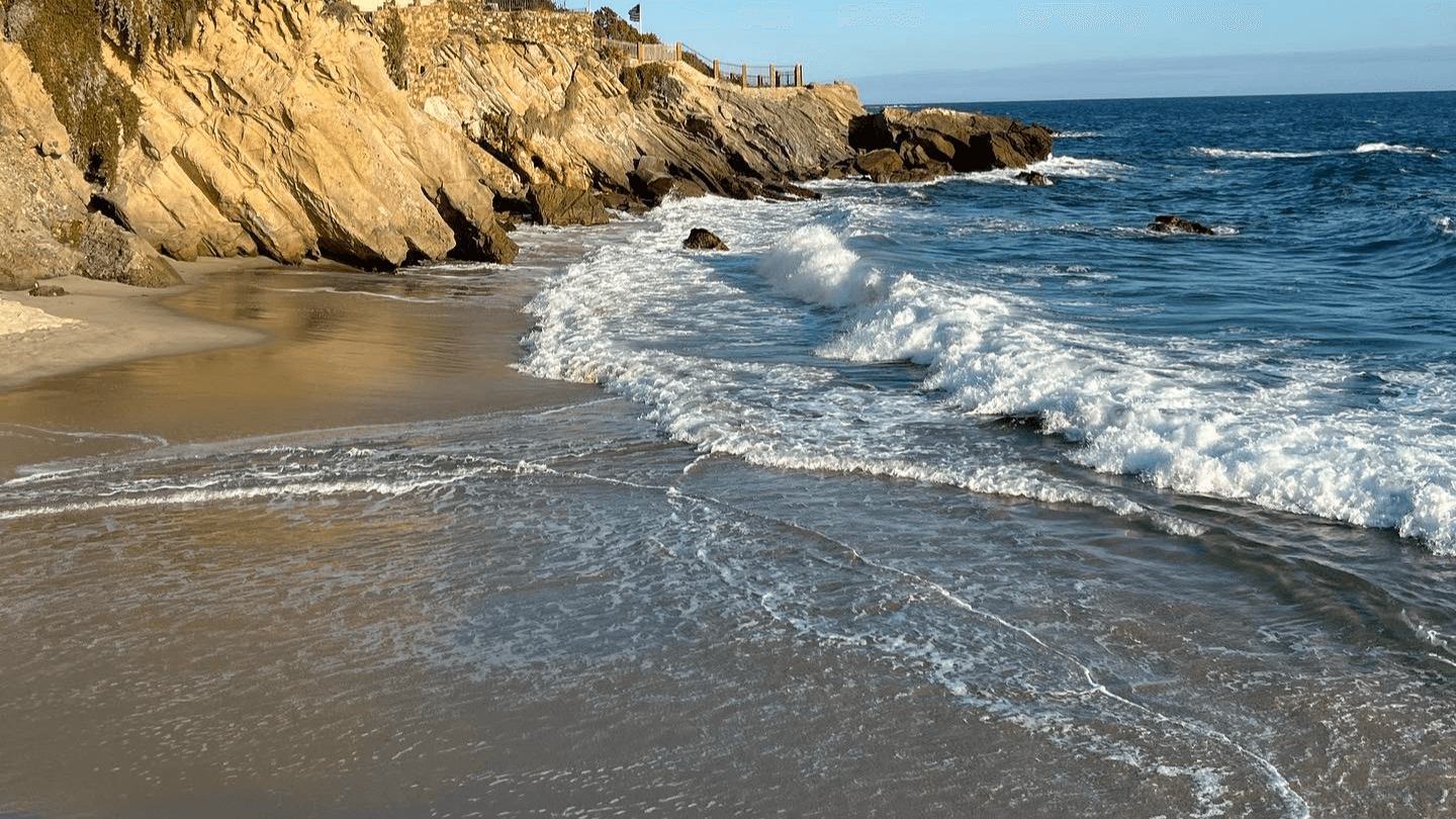 Preventative Integrative Brain Health Education