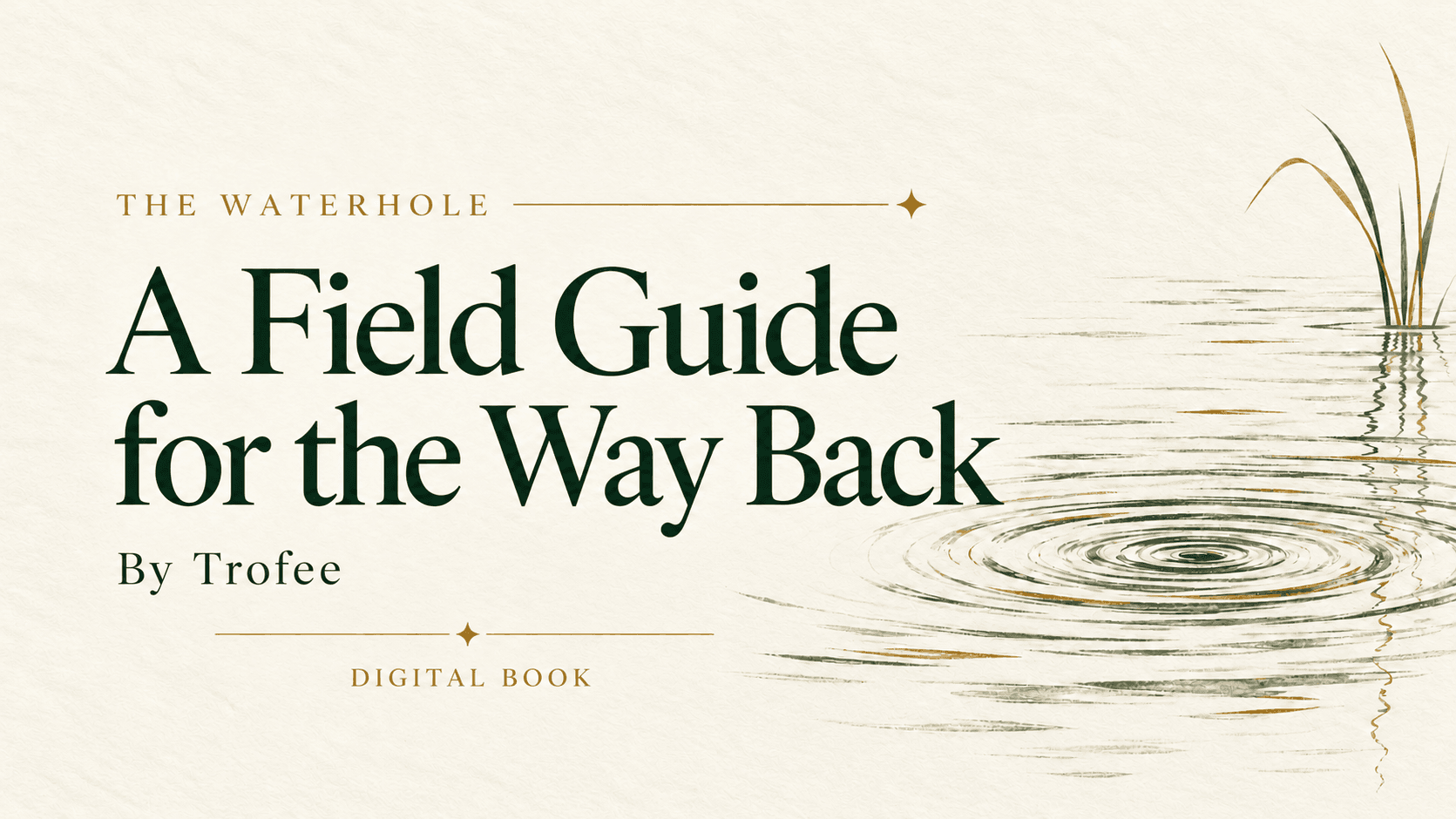 The Waterhole: A Field Guide for the Way Back