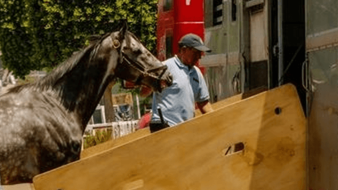 Horse Hauler Vetting Guide + Video Walkthrough