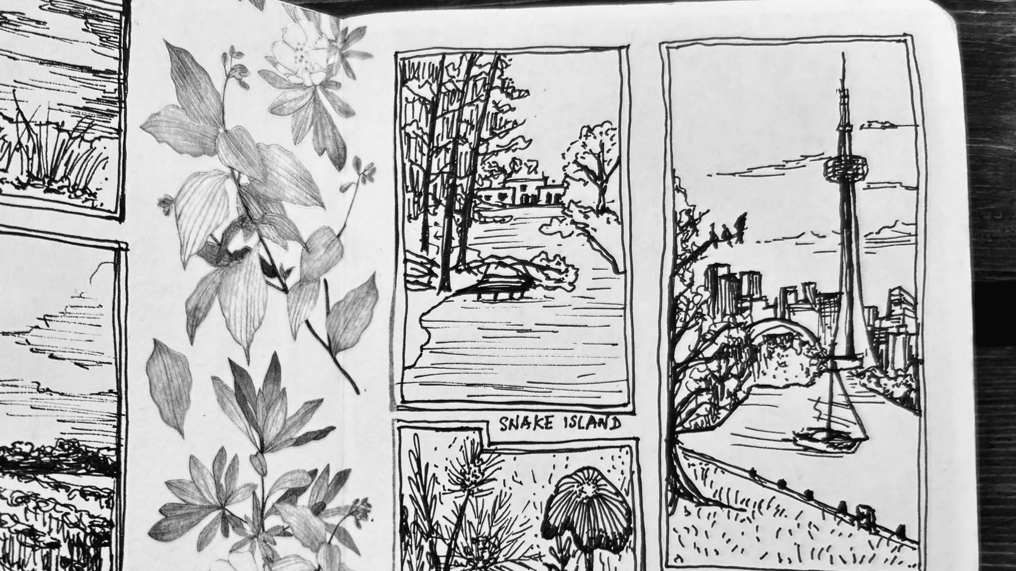 Drop-In Drawing & Sketching Classes