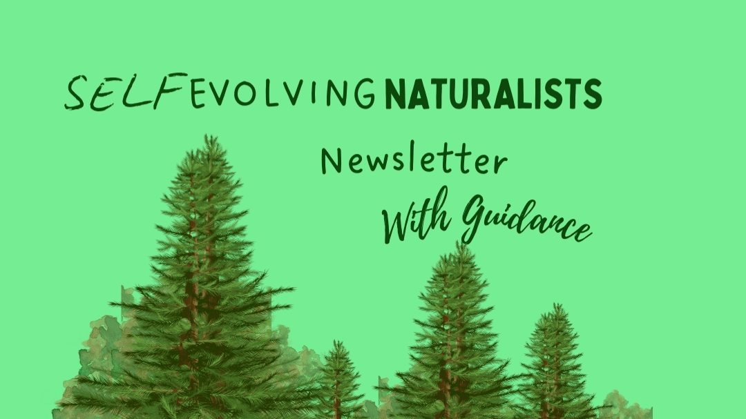 Awaken with The S.E.N Newsletter