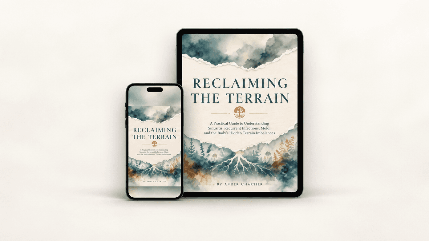 Reclaiming the Terrain eBook