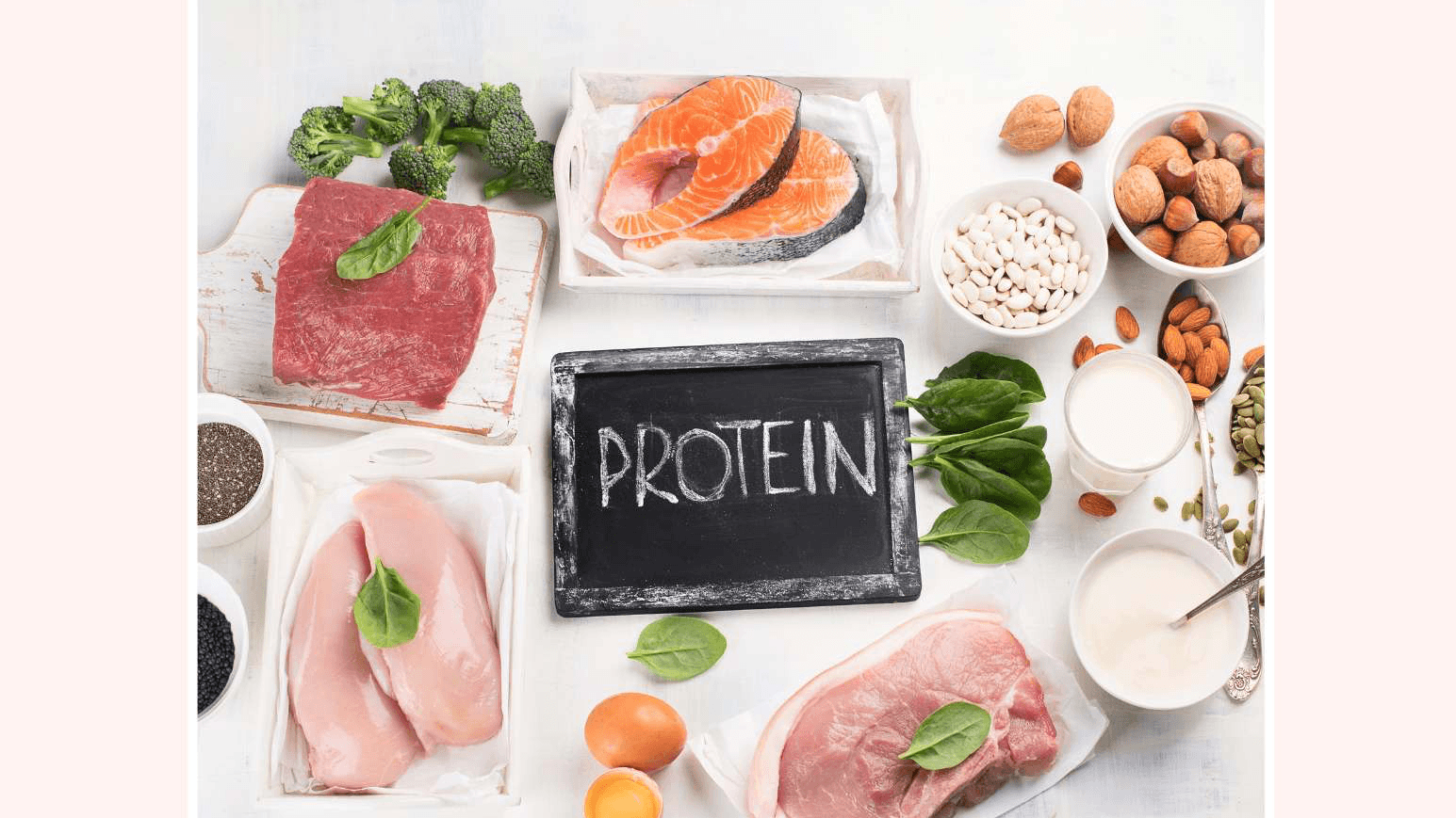 Kari-Kay’s Free Protein Guide