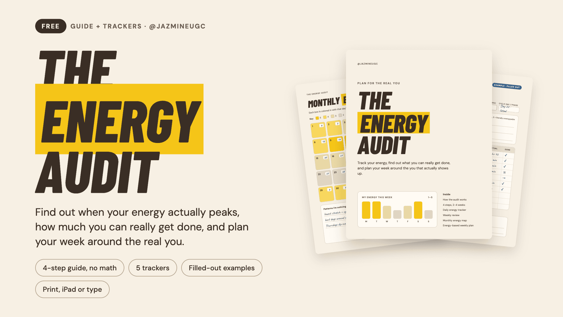 FREE Energy Audit Guide