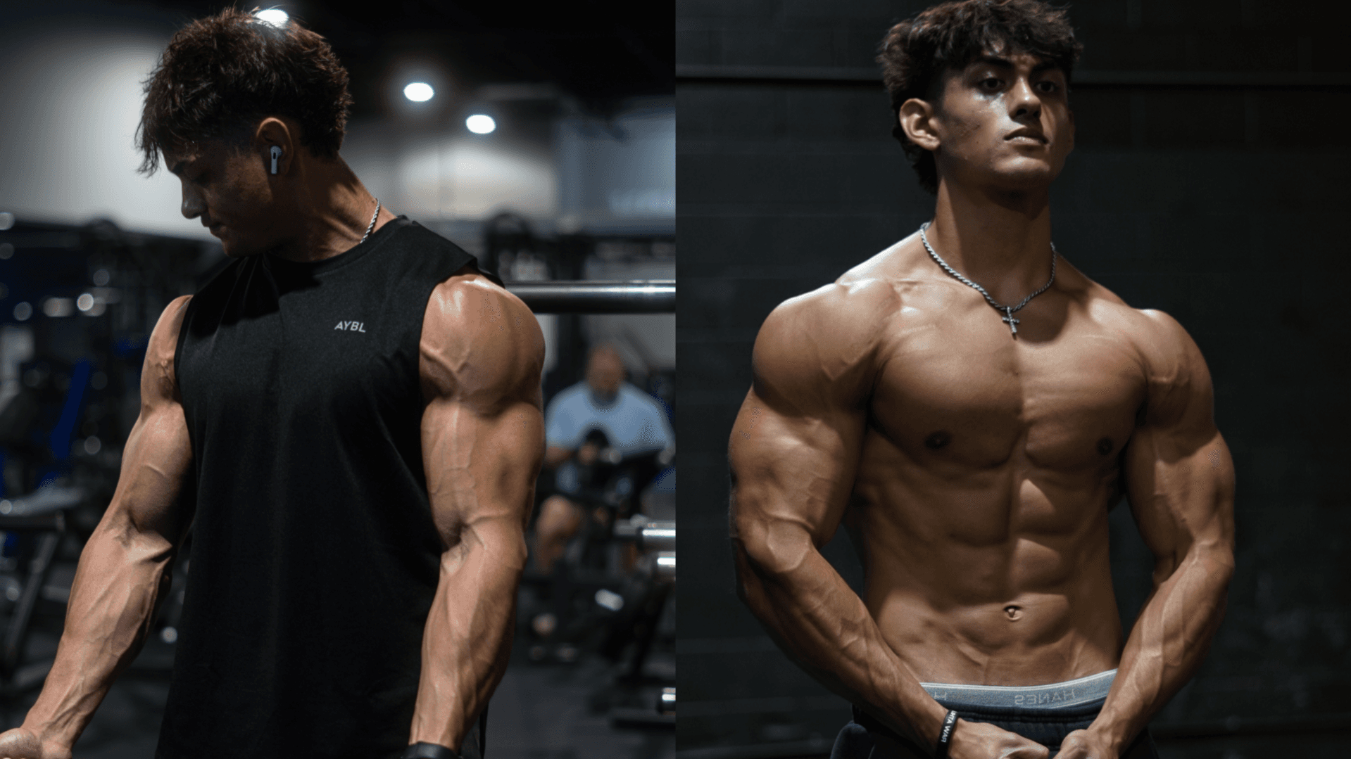 Ultimate Bulking & Cutting BUNDLE