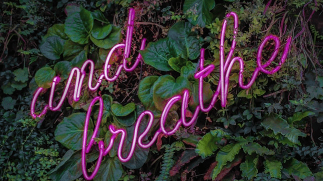 Breathwork 23rd Oct, @GreenCircleDarkness Retreat