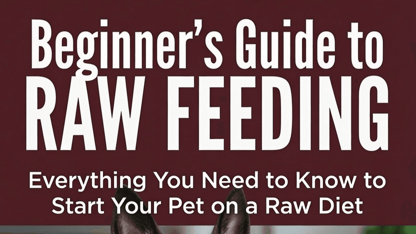 Beginners Guide To Raw Feeding