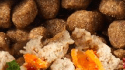 Comprehensive Nutrition Plan 1 Pet