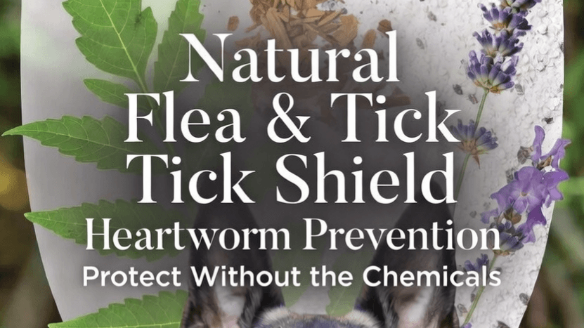 Natural Flea & Tick Heartworm Prevention Guide