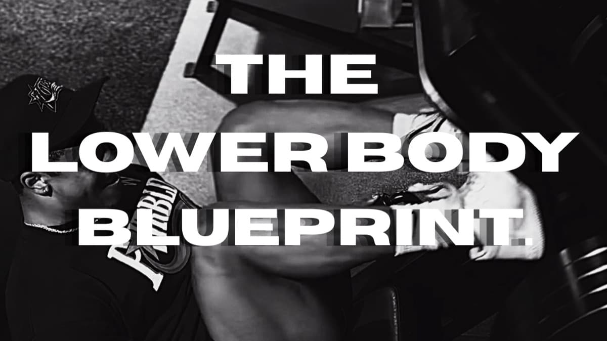 The Lower Body Blueprint.