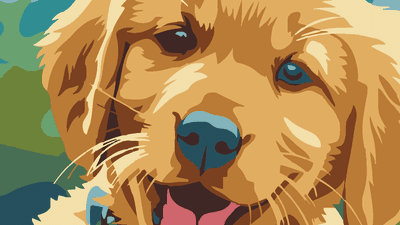 Paint My Pet