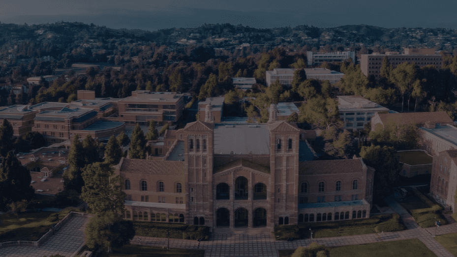 High Academic Consultation