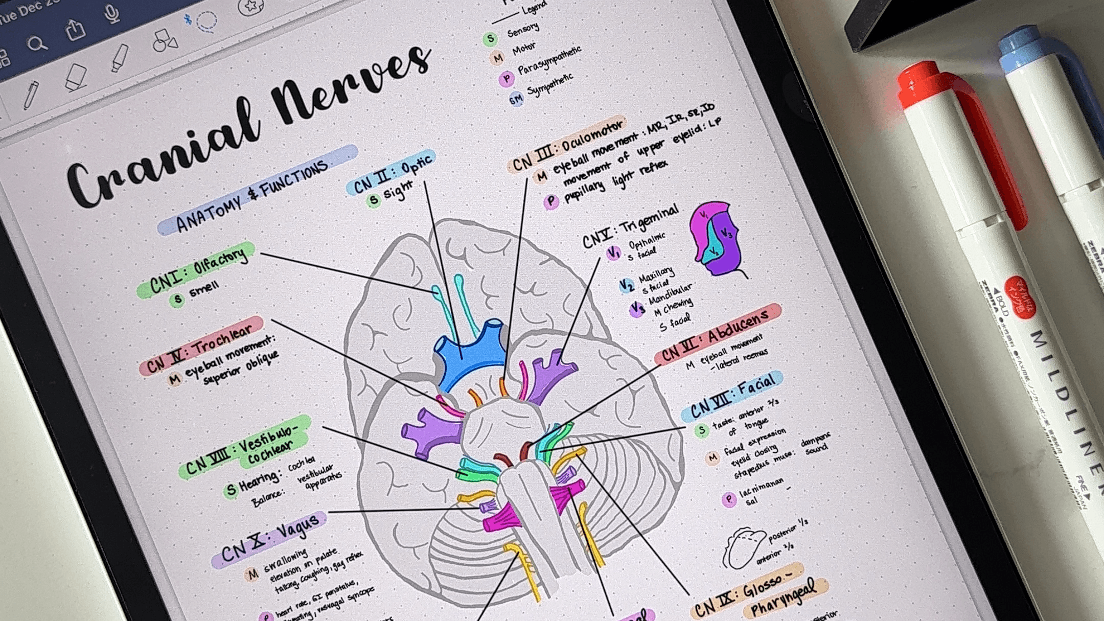 Get My Complete A&P Notes Bundle