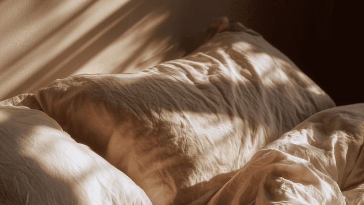 Rest & Renew Transmission
