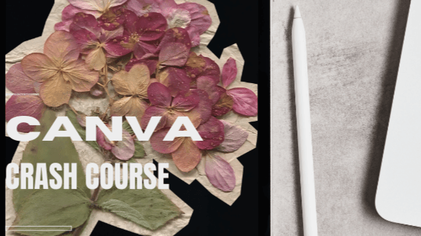 CANVA CRASH COURSE